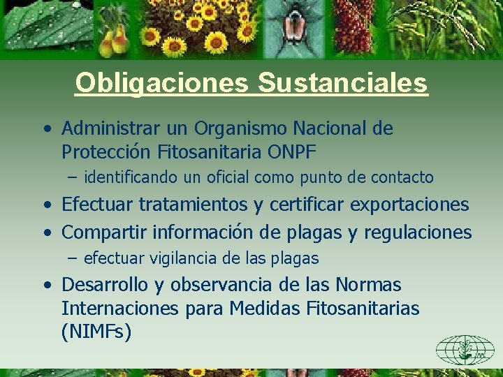 Obligaciones Sustanciales • Administrar un Organismo Nacional de Protección Fitosanitaria ONPF – identificando un