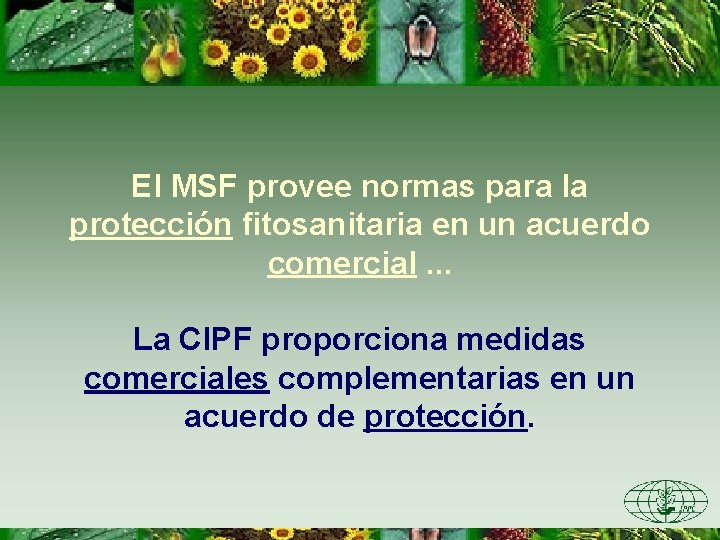 El MSF provee normas para la protección fitosanitaria en un acuerdo comercial. . .