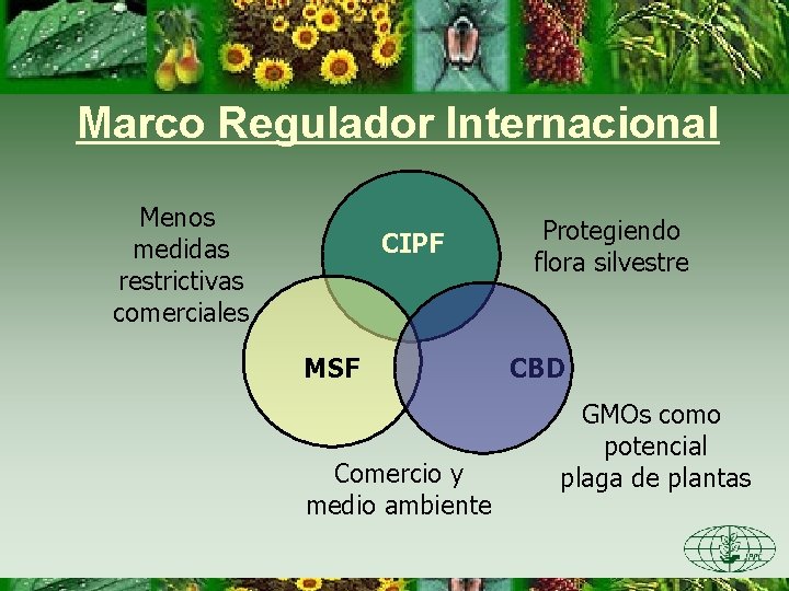 Marco Regulador Internacional Menos medidas restrictivas comerciales CIPF MSF Comercio y medio ambiente Protegiendo