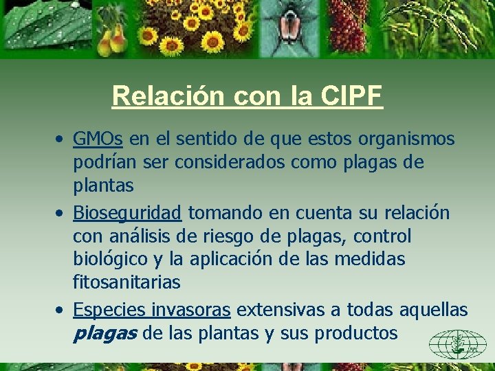 Relación con la CIPF • GMOs en el sentido de que estos organismos podrían