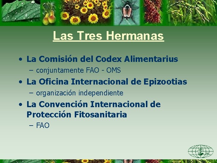 Las Tres Hermanas • La Comisión del Codex Alimentarius – conjuntamente FAO - OMS
