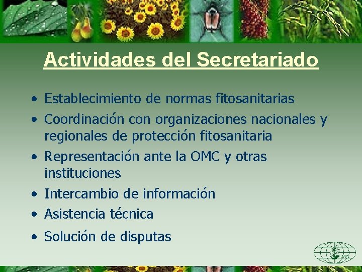 Actividades del Secretariado • Establecimiento de normas fitosanitarias • Coordinación con organizaciones nacionales y