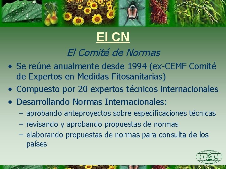 El CN El Comité de Normas • Se reúne anualmente desde 1994 (ex-CEMF Comité