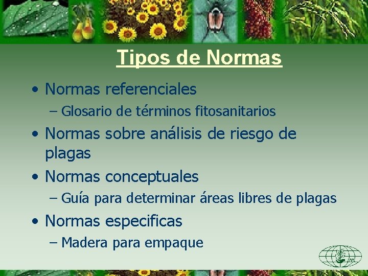 Tipos de Normas • Normas referenciales – Glosario de términos fitosanitarios • Normas sobre