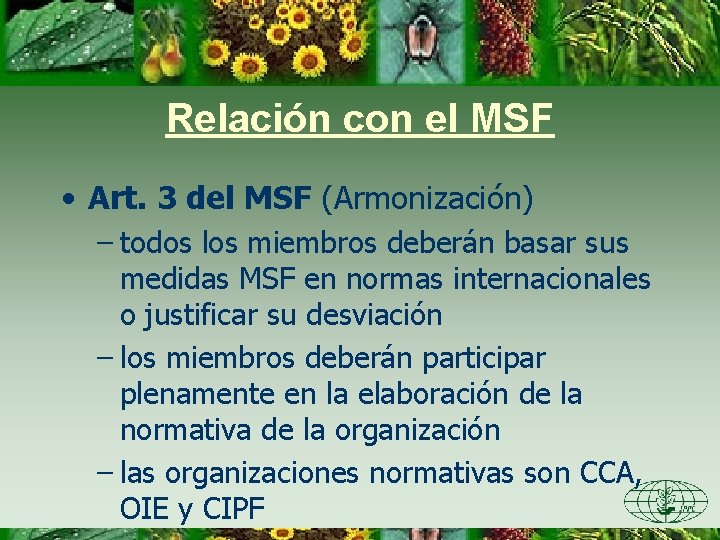 Relación con el MSF • Art. 3 del MSF (Armonización) – todos los miembros