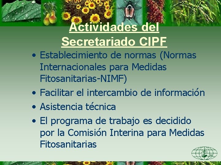 Actividades del Secretariado CIPF • Establecimiento de normas (Normas Internacionales para Medidas Fitosanitarias-NIMF) •