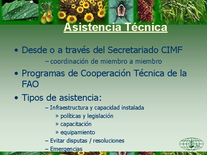 Asistencia Técnica • Desde o a través del Secretariado CIMF – coordinación de miembro