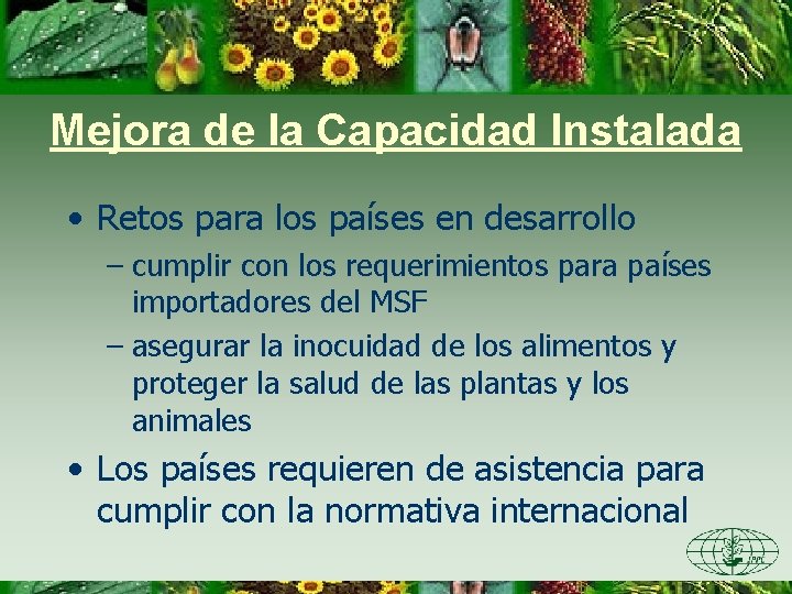 Mejora de la Capacidad Instalada • Retos para los países en desarrollo – cumplir