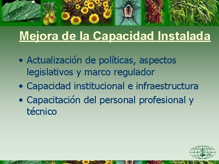 Mejora de la Capacidad Instalada • Actualización de políticas, aspectos legislativos y marco regulador