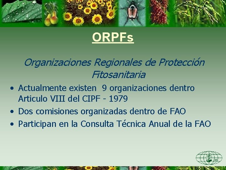 ORPFs Organizaciones Regionales de Protección Fitosanitaria • Actualmente existen 9 organizaciones dentro Articulo VIII