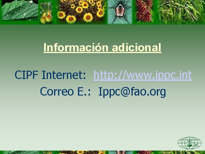 Información adicional CIPF Internet: http: //www. ippc. int Correo E. : Ippc@fao. org 