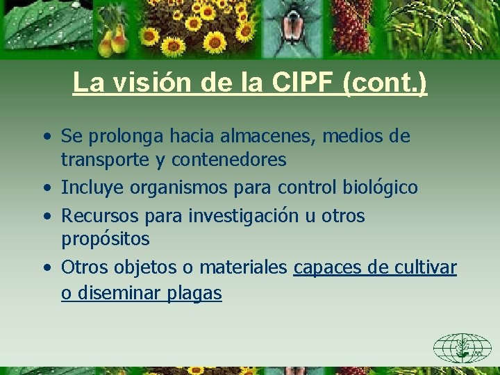 La visión de la CIPF (cont. ) • Se prolonga hacia almacenes, medios de