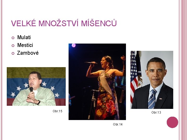 VELKÉ MNOŽSTVÍ MÍŠENCŮ Mulati Mestici Zambové Obr. 15 Obr. 13 Obr. 14 