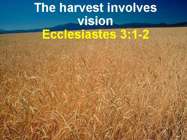The harvest involves vision Ecclesiastes 3: 1 -2 