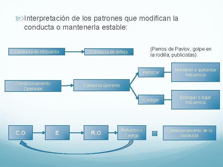  Interpretación de los patrones que modifican la conducta o mantenerla estable: Conducta de