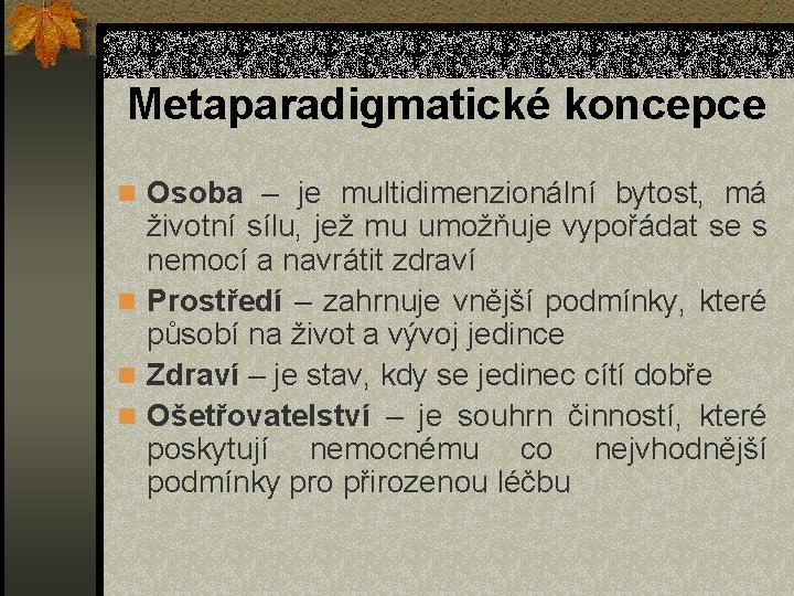 Metaparadigmatické koncepce n Osoba – je multidimenzionální bytost, má životní sílu, jež mu umožňuje