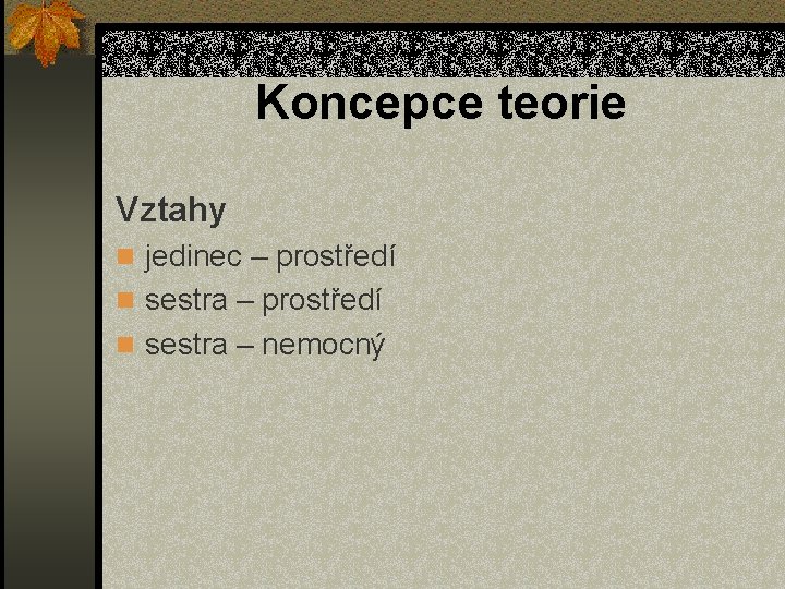 Koncepce teorie Vztahy n jedinec – prostředí n sestra – nemocný 