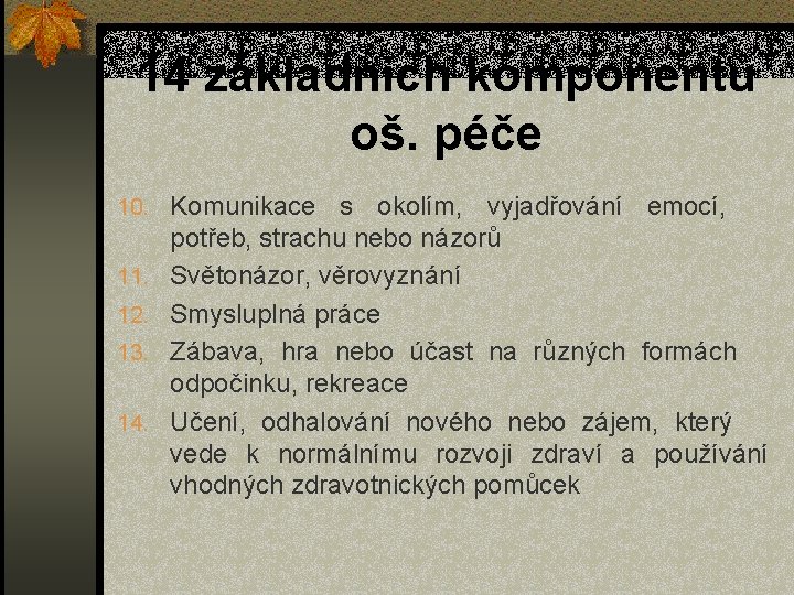 14 základních komponentů oš. péče 10. Komunikace 11. 12. 13. 14. s okolím, vyjadřování