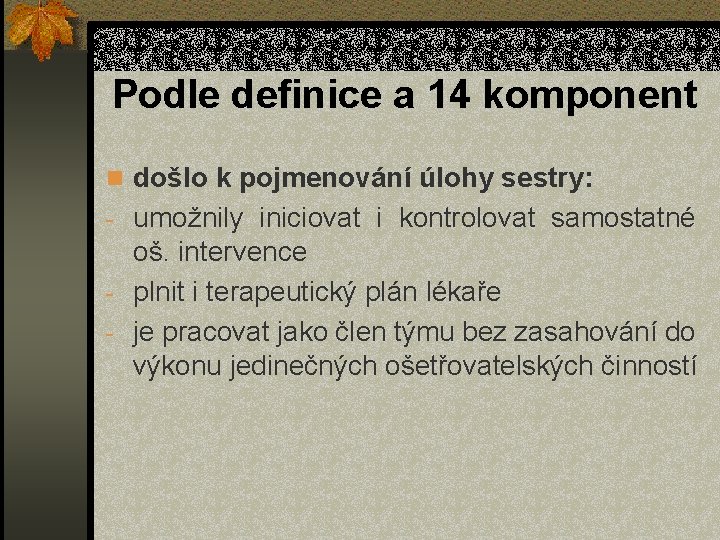 Podle definice a 14 komponent n došlo k pojmenování úlohy sestry: - umožnily iniciovat