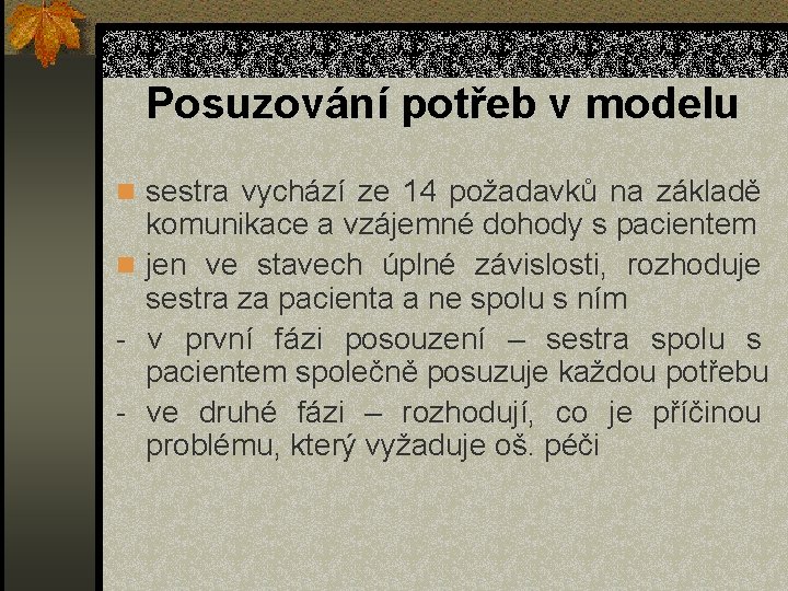 Posuzování potřeb v modelu n sestra vychází ze 14 požadavků na základě komunikace a