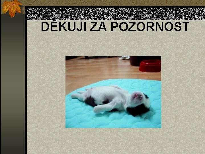 DĚKUJI ZA POZORNOST 