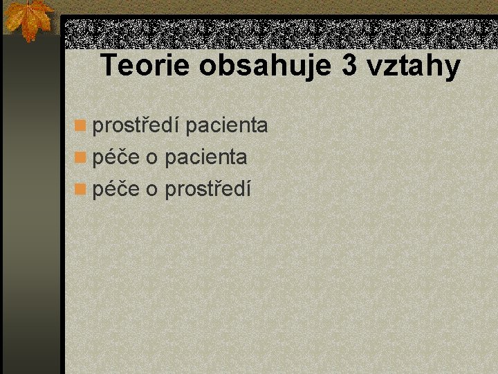 Teorie obsahuje 3 vztahy n prostředí pacienta n péče o prostředí 