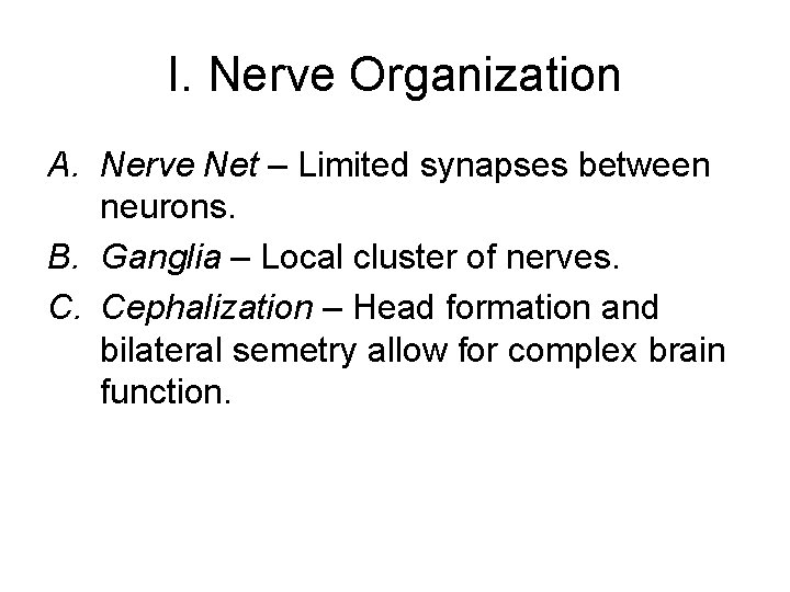 I. Nerve Organization A. Nerve Net – Limited synapses between neurons. B. Ganglia –