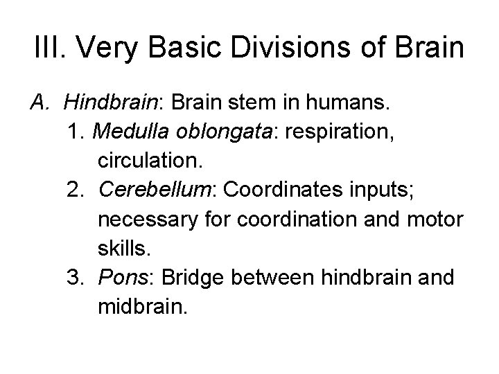 III. Very Basic Divisions of Brain A. Hindbrain: Brain stem in humans. 1. Medulla