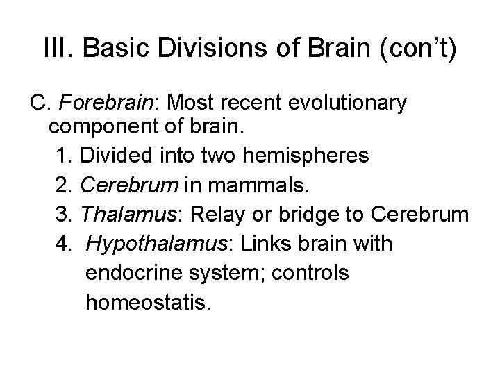 III. Basic Divisions of Brain (con’t) C. Forebrain: Most recent evolutionary component of brain.