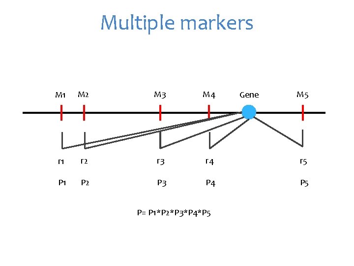 Multiple markers M 1 M 2 M 3 M 4 r 1 r 2