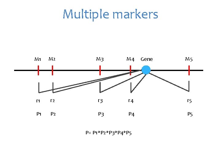 Multiple markers M 1 M 2 M 3 M 4 r 1 r 2