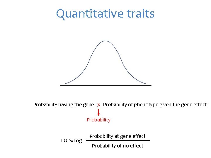 Quantitative traits Probability having the gene X Probability of phenotype given the gene effect