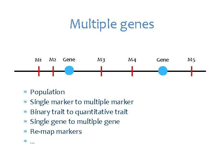 Multiple genes M 1 M 2 Gene M 3 M 4 Population Single marker