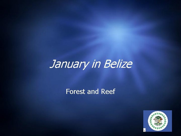 January in Belize Forest and Reef 