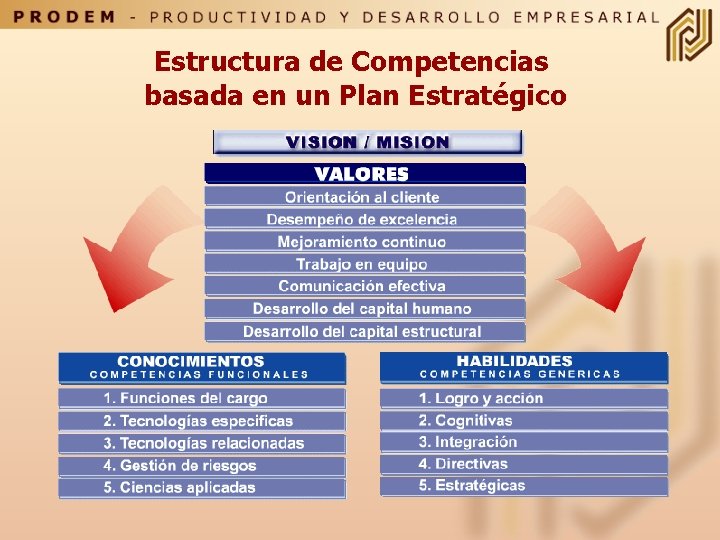 Estructura de Competencias basada en un Plan Estratégico 