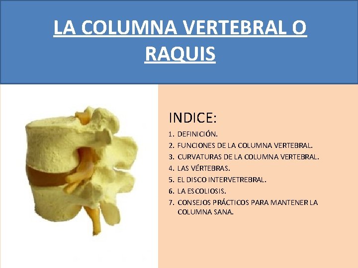 LA COLUMNA VERTEBRAL O RAQUIS INDICE: 1. 2. 3. 4. 5. 6. 7. DEFINICIÓN.