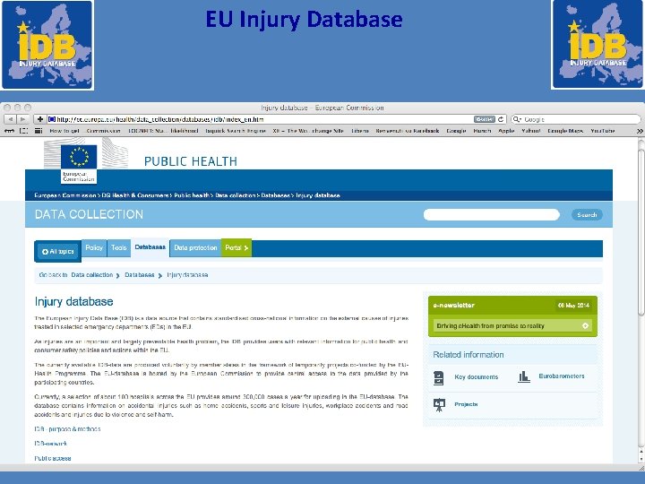 EU Injury Database 