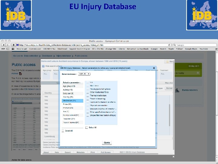 EU Injury Database 