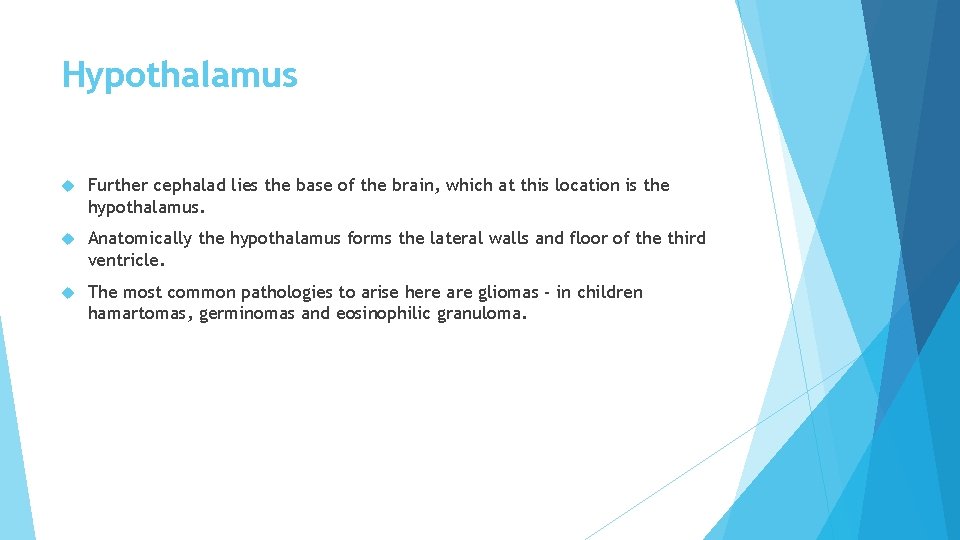 Hypothalamus Further cephalad lies the base of the brain, which at this location is