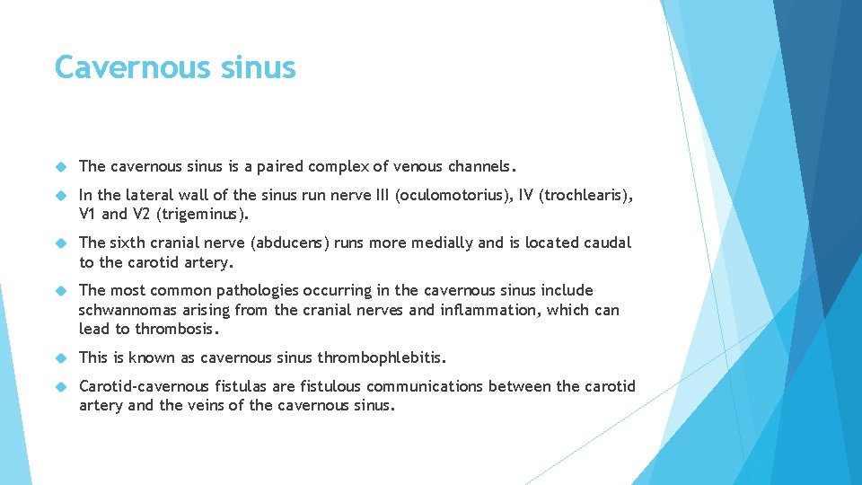Cavernous sinus The cavernous sinus is a paired complex of venous channels. In the