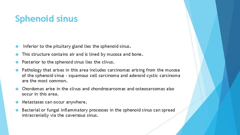Sphenoid sinus Inferior to the pituitary gland lies the sphenoid sinus. This structure contains