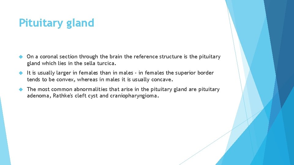 Pituitary gland On a coronal section through the brain the reference structure is the