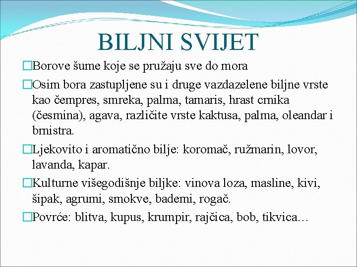 BILJNI SVIJET �Borove šume koje se pružaju sve do mora �Osim bora zastupljene su