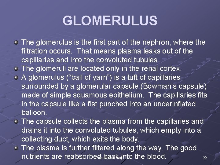 GLOMERULUS The glomerulus is the first part of the nephron, where the filtration occurs.