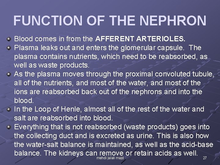 FUNCTION OF THE NEPHRON Blood comes in from the AFFERENT ARTERIOLES. Plasma leaks out