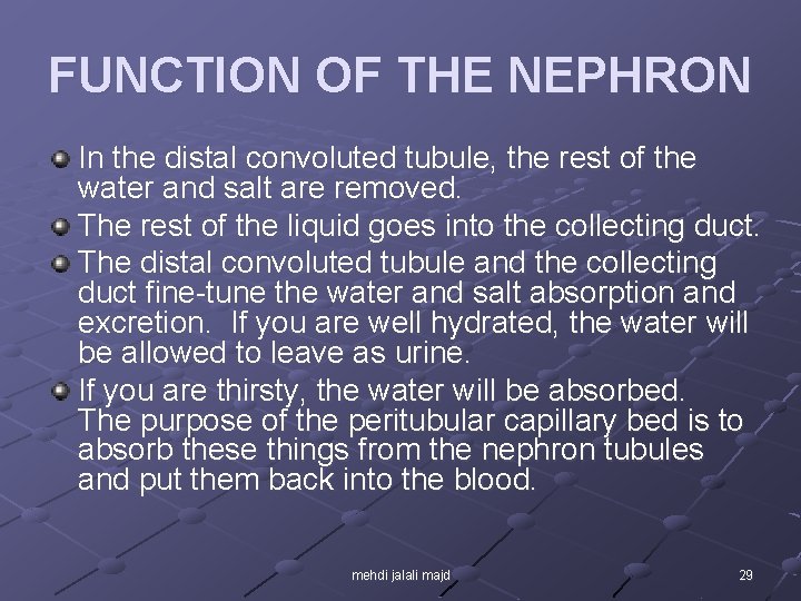 FUNCTION OF THE NEPHRON In the distal convoluted tubule, the rest of the water