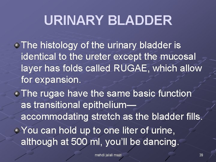 URINARY BLADDER The histology of the urinary bladder is identical to the ureter except