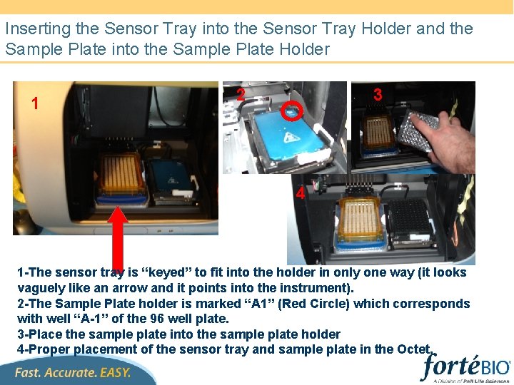 Inserting the Sensor Tray into the Sensor Tray Holder and the Sample Plate into