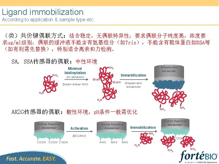 Ligand immobilization According to application & sample type etc. （类）共价键偶联方式：结合稳定，无偶联特异性；要求偶联分子纯度高，浓度要 求ug/ml级别；偶联的缓冲液不能含有氨基组分（如Tris），不能含有载体蛋白如BSA等 （如有则需先替换），特别适合高亲和力检测。 SA, SSA传感器的偶联：中性环境