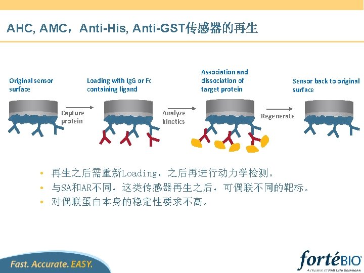 AHC, AMC，Anti-His, Anti-GST传感器的再生 Original sensor surface Association and dissociation of target protein Loading with